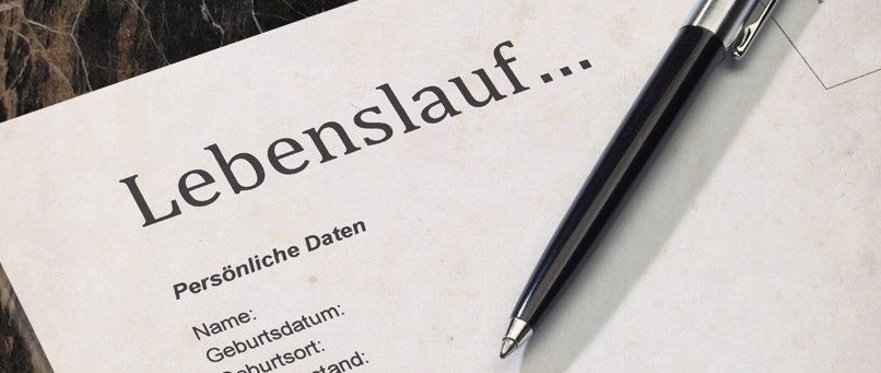 Lebenslauf Perfektion